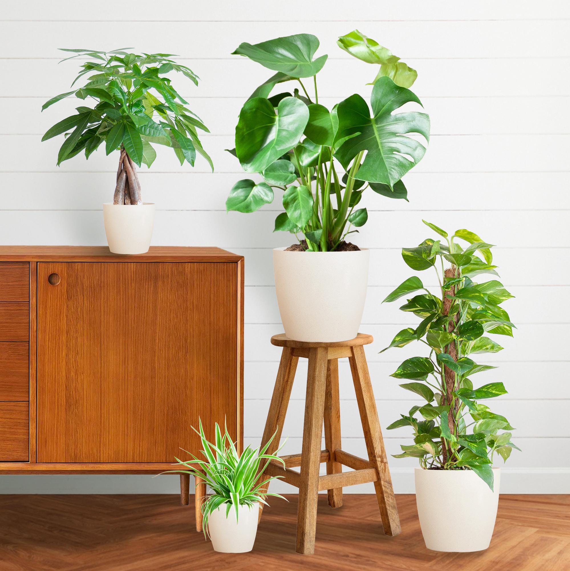Easy Care Plantenbox - inclusief witte potten